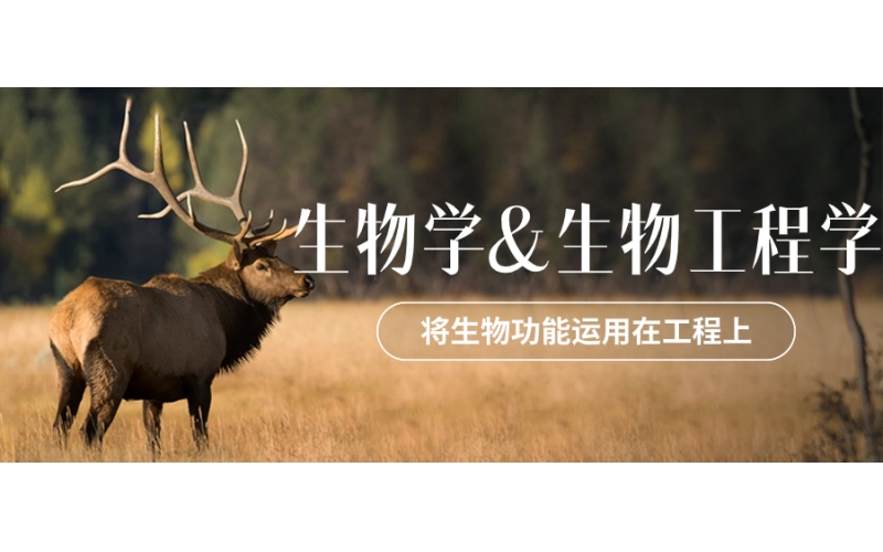 日本留學(xué)生物學(xué)與生物工程專業(yè)的區(qū)別